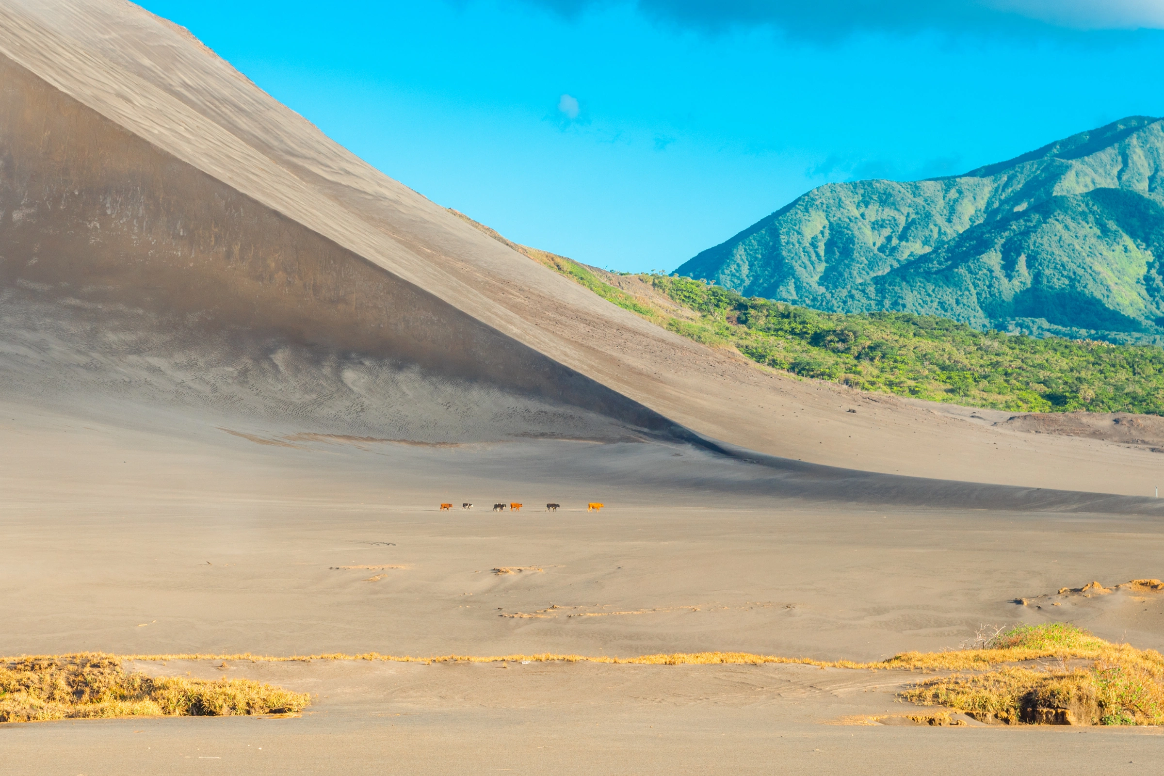 Tanna[1].webp